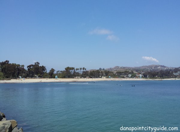 doheny state beach dana point city guide