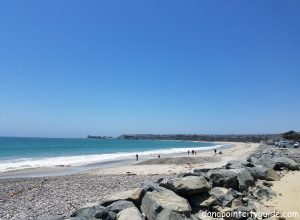 doheny state beach south dana point city guide