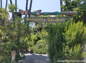 butterfly garden doheny state beach dana point city guide