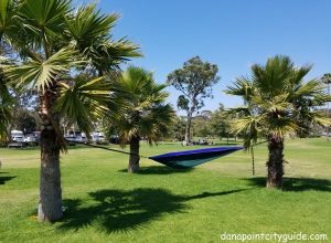 picnic area doheny state beach north dana point city guide