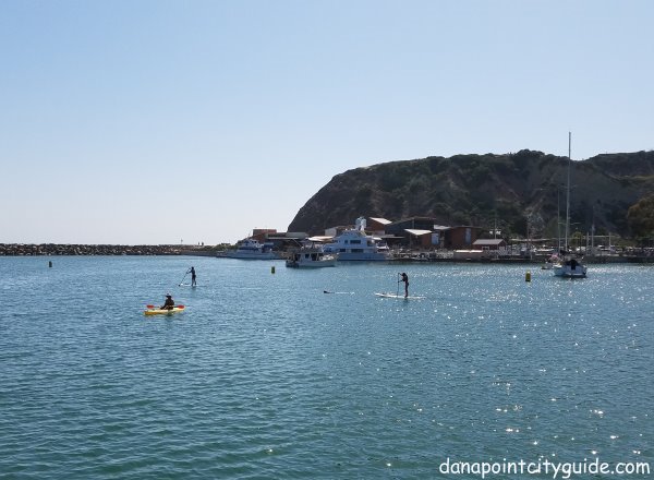 paddle boarders baby beach dana point harbor beach dana point city guide